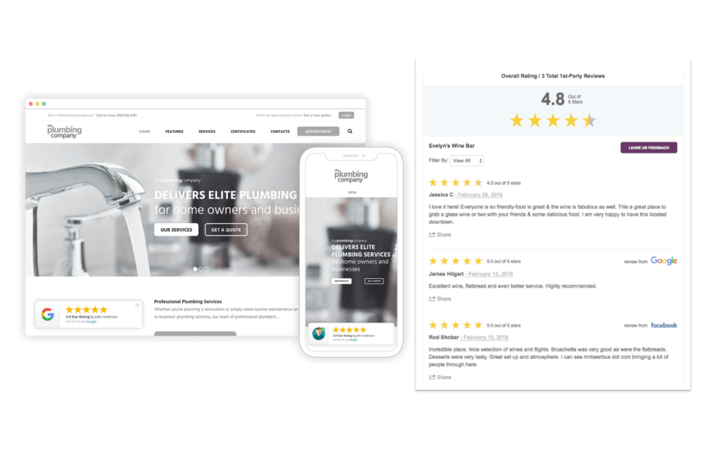 review display and capture screens for Reputation Manager software
